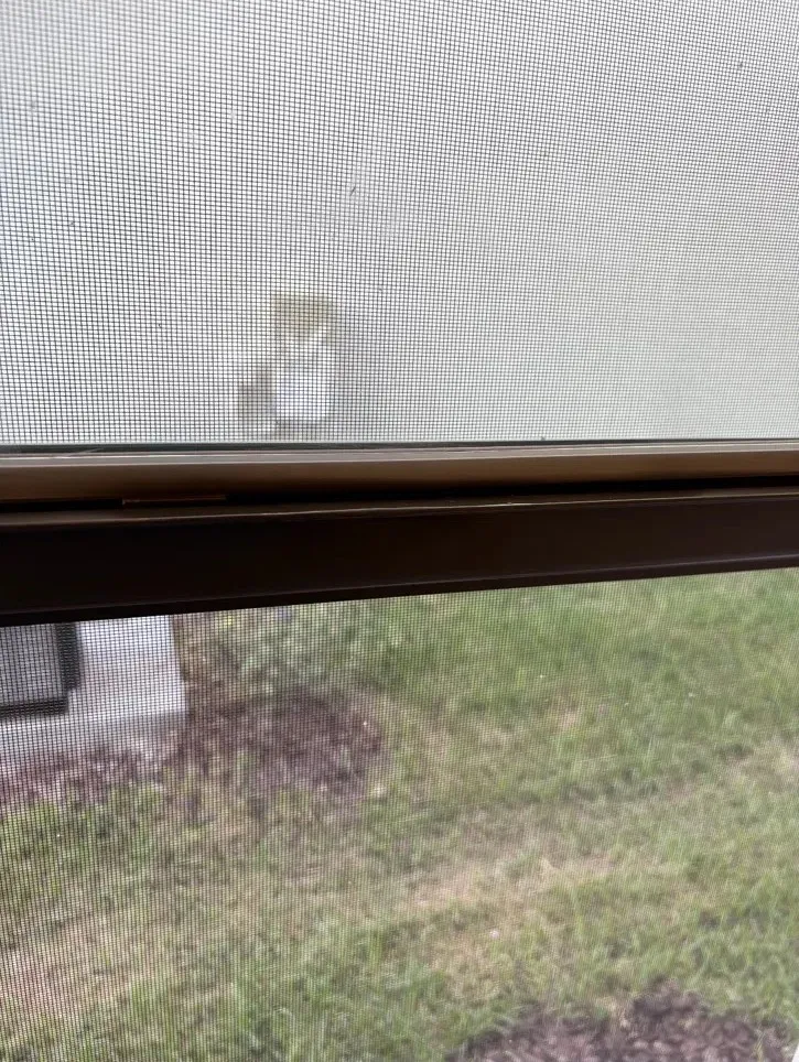 Close-up of a window screen on a bronze frame